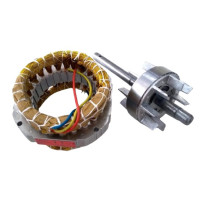 ESTATOR E ROTOR P17 220V MOTOR DESLIZANTE AGL